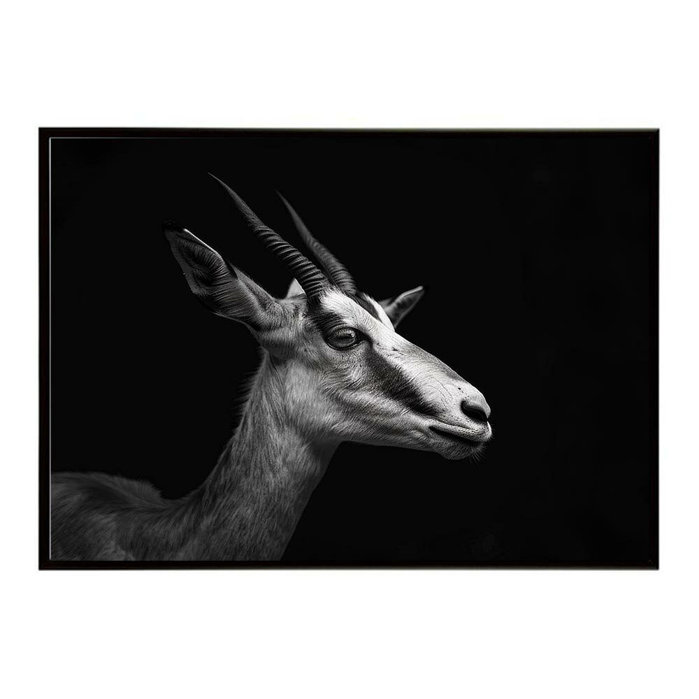 Springbok スプリングボック アンテロープ サバンナ アフリカ 草原 自然 ネイチャー 動物 アニマル 野生動物 写真 鹿ポスター インテリア おしゃれ プリントポスター フォト シンプル お洒落 特大 大きい/lh-poster-6983