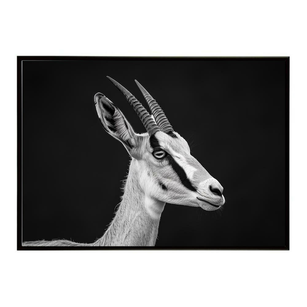 Springbok スプリングボック アンテロープ サバンナ アフリカ 草原 自然 ネイチャー 動物 アニマル 野生動物 写真 鹿ポスター インテリア おしゃれ プリントポスター フォト シンプル お洒落 特大 大きい/lh-poster-6984