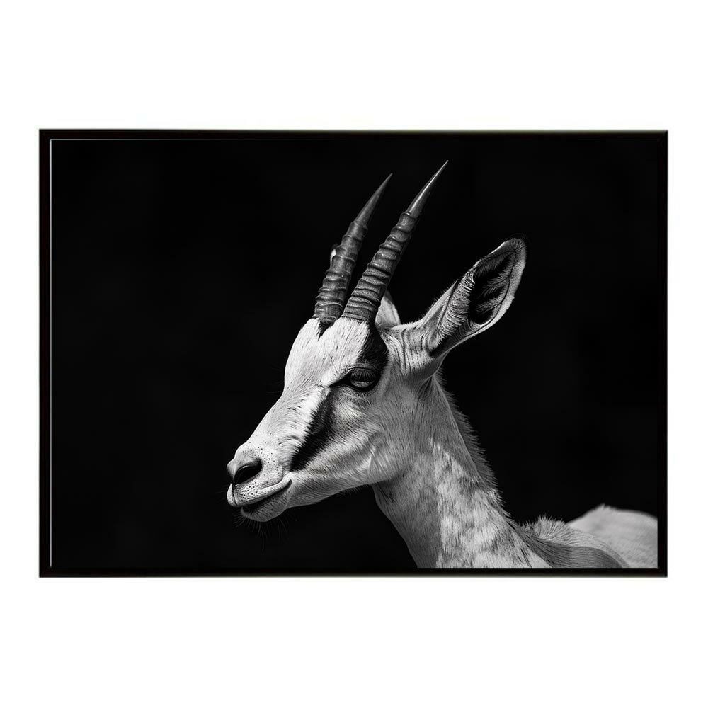 Springbok スプリングボック アンテロープ サバンナ アフリカ 草原 自然 ネイチャー 動物 アニマル 野生動物 写真 鹿ポスター インテリア おしゃれ プリントポスター フォト シンプル お洒落 特大 大きい/lh-poster-6985