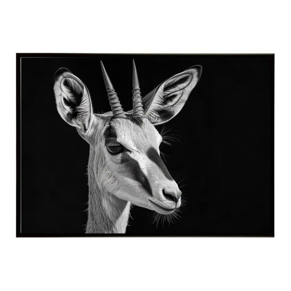 Springbok スプリングボック アンテロープ サバンナ アフリカ 草原 自然 ネイチャー 動物 アニマル 野生動物 写真 鹿ポスター インテリア おしゃれ プリントポスター フォト シンプル お洒落 特大 大きい/lh-poster-6987