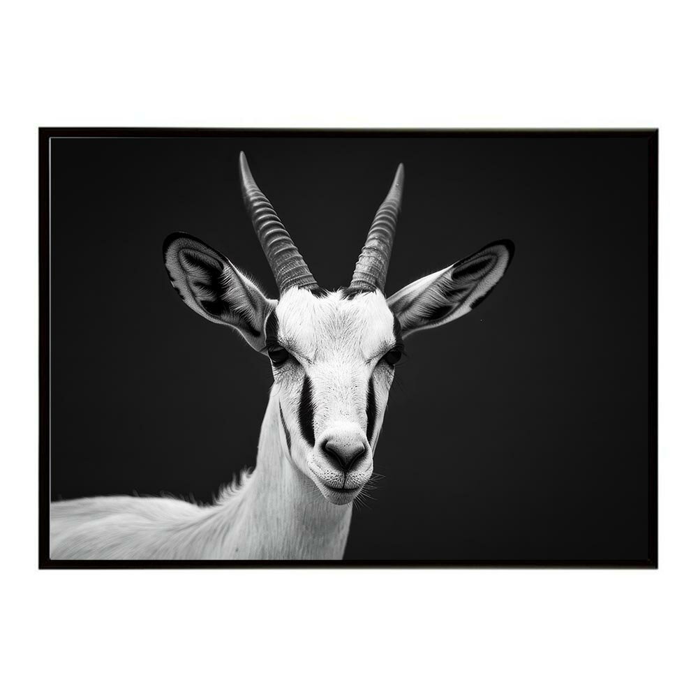 Springbok スプリングボック アンテロープ サバンナ アフリカ 草原 自然 ネイチャー 動物 アニマル 野生動物 写真 鹿ポスター インテリア おしゃれ プリントポスター フォト シンプル お洒落 特大 大きい/lh-poster-6988