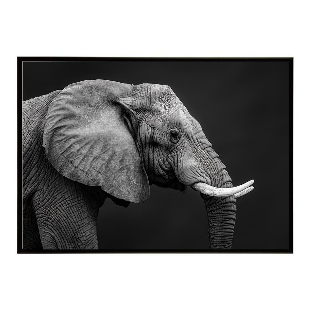 Elephant ���� ����ե���� ���Х�� ���եꥫ �� ���� �ͥ����㡼 ưʪ ���˥ޥ� ����ưʪ �̿��ݥ����� ����ƥꥢ ������� �ץ��ȥݥ����� �ե��� ����ץ� ��ޯ�� ���� �礭��/lh-poster-7129