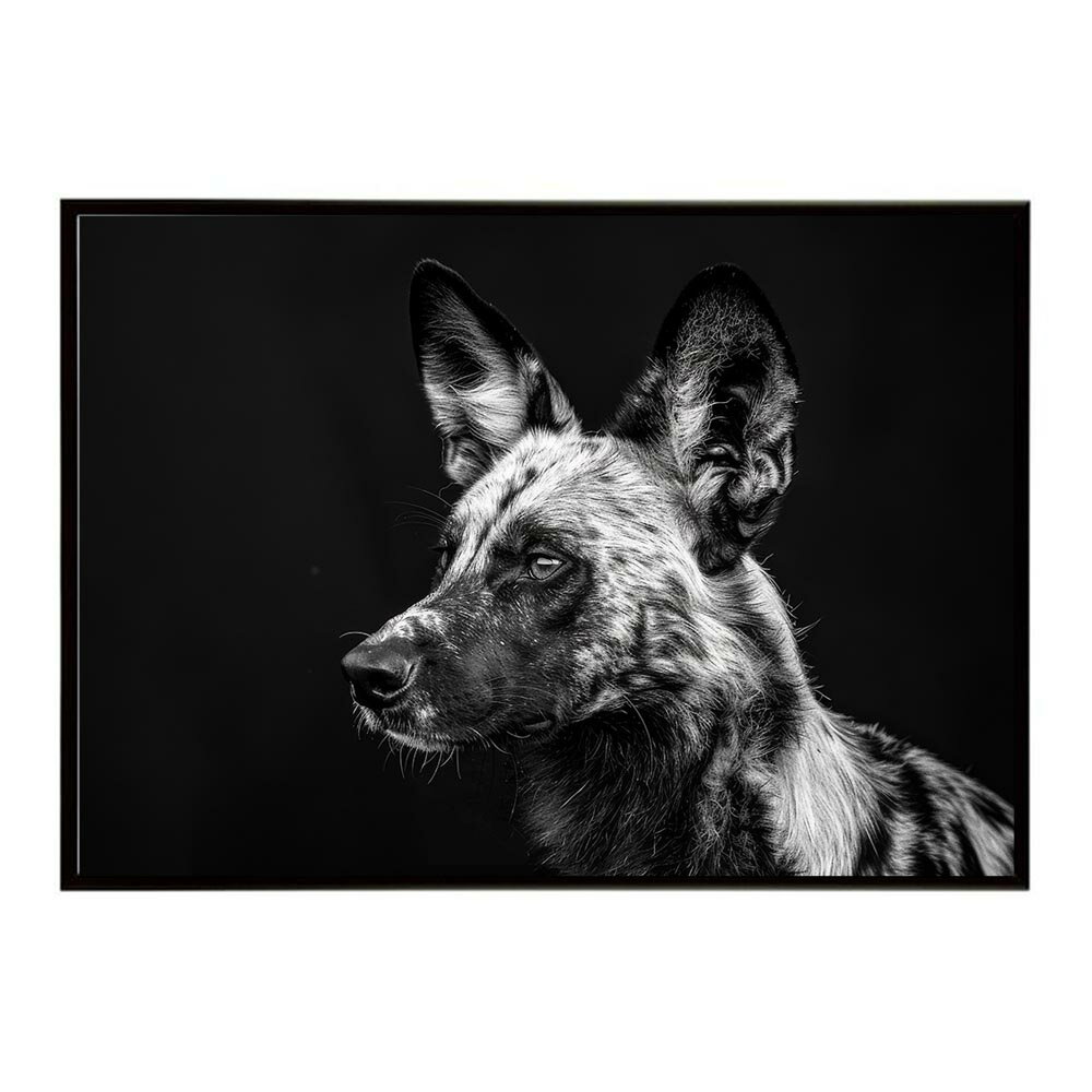 African wild dog ���եꥫ��磻��ɥɥå� �ꥫ���� ���衼�� �� �ϥ����� ���Х�� ���եꥫ �� ���� �ͥ����㡼 ưʪ ���˥ޥ� ����ưʪ �̿��ݥ����� ����ƥꥢ ������� �ץ��ȥݥ����� �ե��� ����ץ� ��ޯ�� ���� �礭��/lh-poster-7196