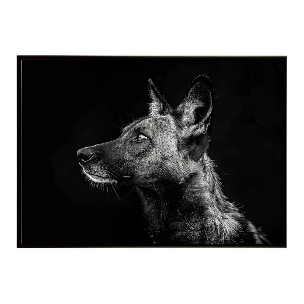 African wild dog アフリカンワイルドドック リカオン コヨーテ 犬 ハイエナ サバンナ アフリカ 草原 自然 ネイチャー 動物 アニマル 野生動物 写真ポスター インテリア おしゃれ プリントポスター フォト シンプル お洒落 特大 大きい/lh-poster-7241