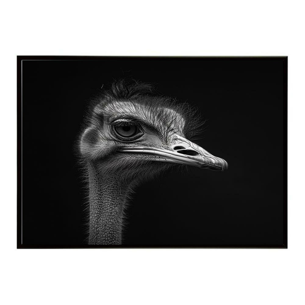 Ostrich ダチョウ オーストリッチ サバンナ アフリカ 草原 自然 ネイチャー 動物 アニマル 野生動物 写真 鳥ポスター インテリア おしゃれ プリントポスター フォト シンプル お洒落 特大 大きい/lh-poster-7294