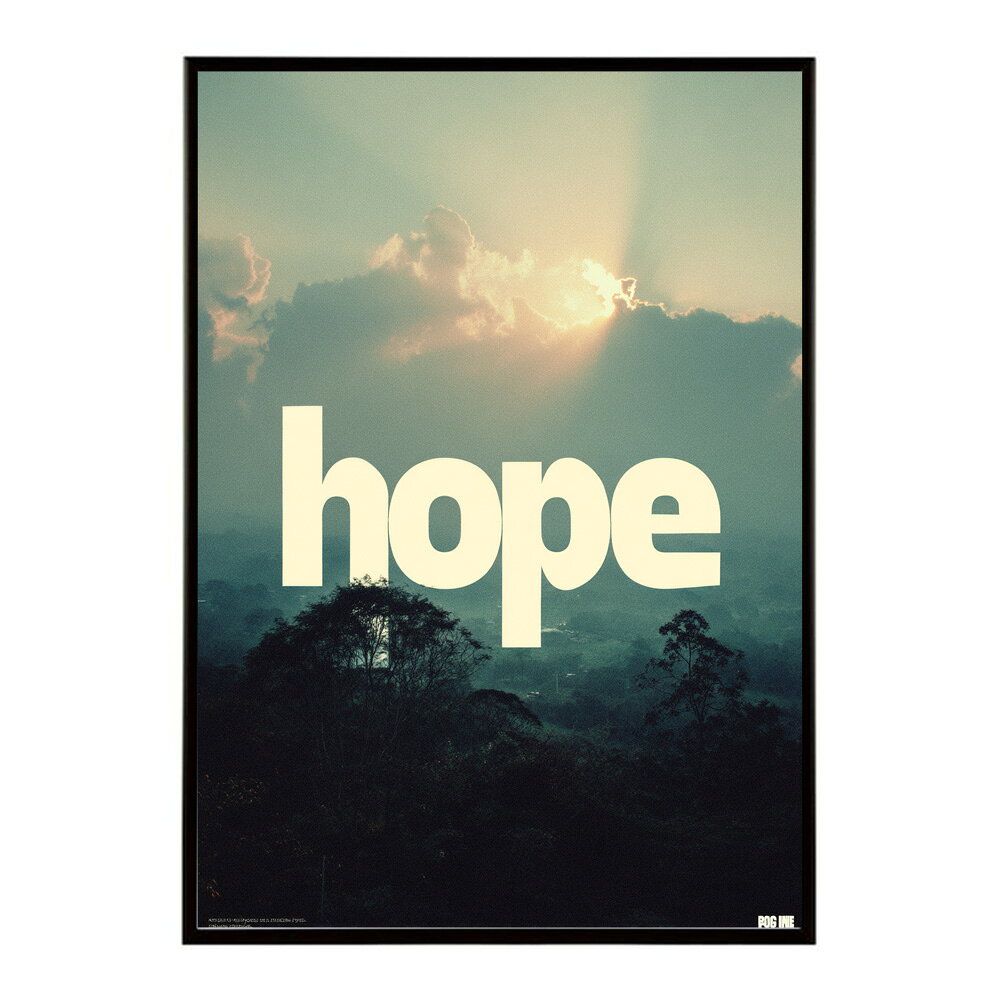 HOPE ポスター タイポグラフィ モノクロ おしゃれ エモい アートプリント 英字ロゴ インテリア 壁掛け 北欧風 リビング 寝室 カフェ インテリア おしゃれ プリントポスター フォト 特大 大きい【lm-poster-1133】