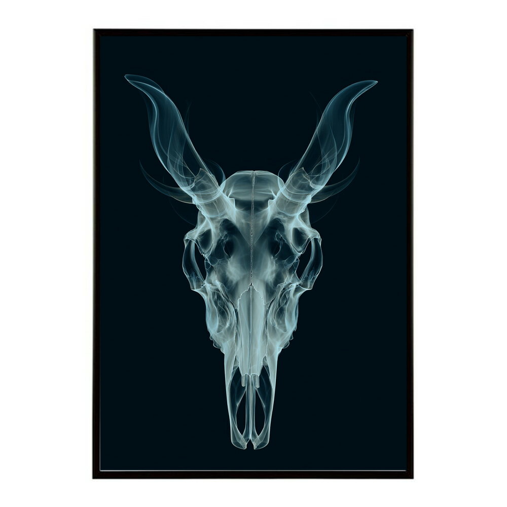 �����ȥݥ����� �����ȥ����� �䥮 Ƭ�� ��Υȡ��� ���� �ǥ����� �ɳݤ� ����ƥꥢ ������쥤��ƥꥢ ������� �ץ��ȥݥ����� �ե��� ���饹�� ��ޯ�� ���� �礭����lm-poster-5559��