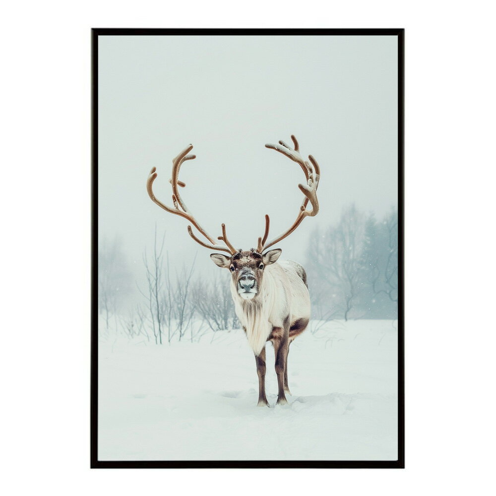 トナカイ 北欧 シカ 鹿 アニマル 動物 アート おしゃれ プリントポスター フォト イラスト クリスマス インテリア 印刷 【lm-poster-8089】