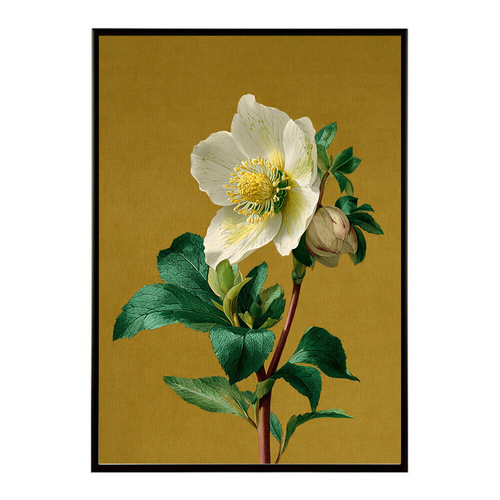 誕生花 ポスター 季節の花 冬の花 早春 フラワーアート ボタニカル 北欧 モダン ナ...