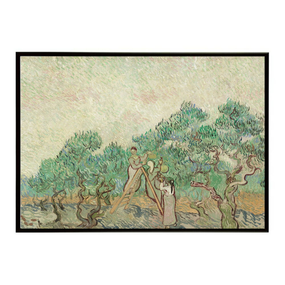 ゴッホ 木々の風景 The Olive Orchard 【Vincent van Gogh】 (1889) 絵画 ポスター デジタルリマスター 名画 絵 復刻 油絵 水彩 【bn-poster-7773】