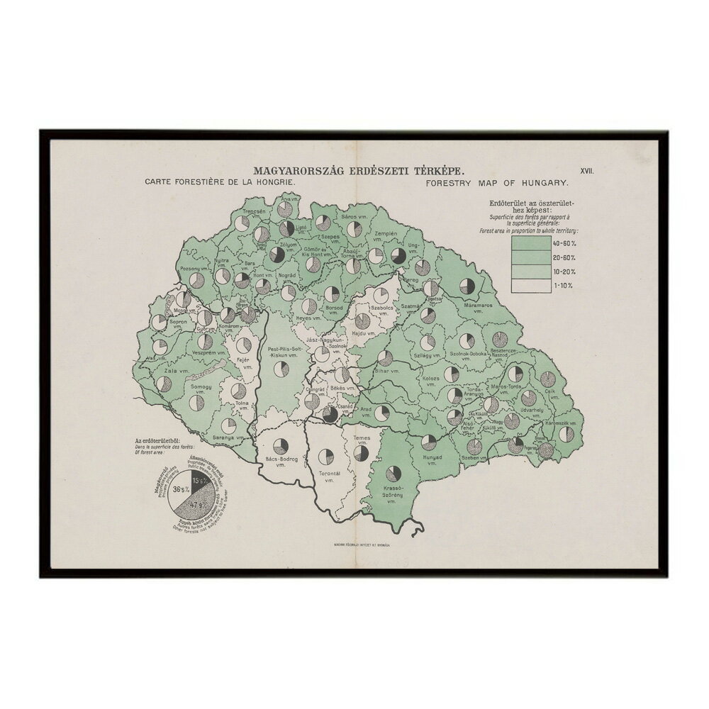 古地図 ポスター アンティーク 地図 ヴィンテージ マップ インテリア レトロ カフェ風 書斎【bn-poster-8267】