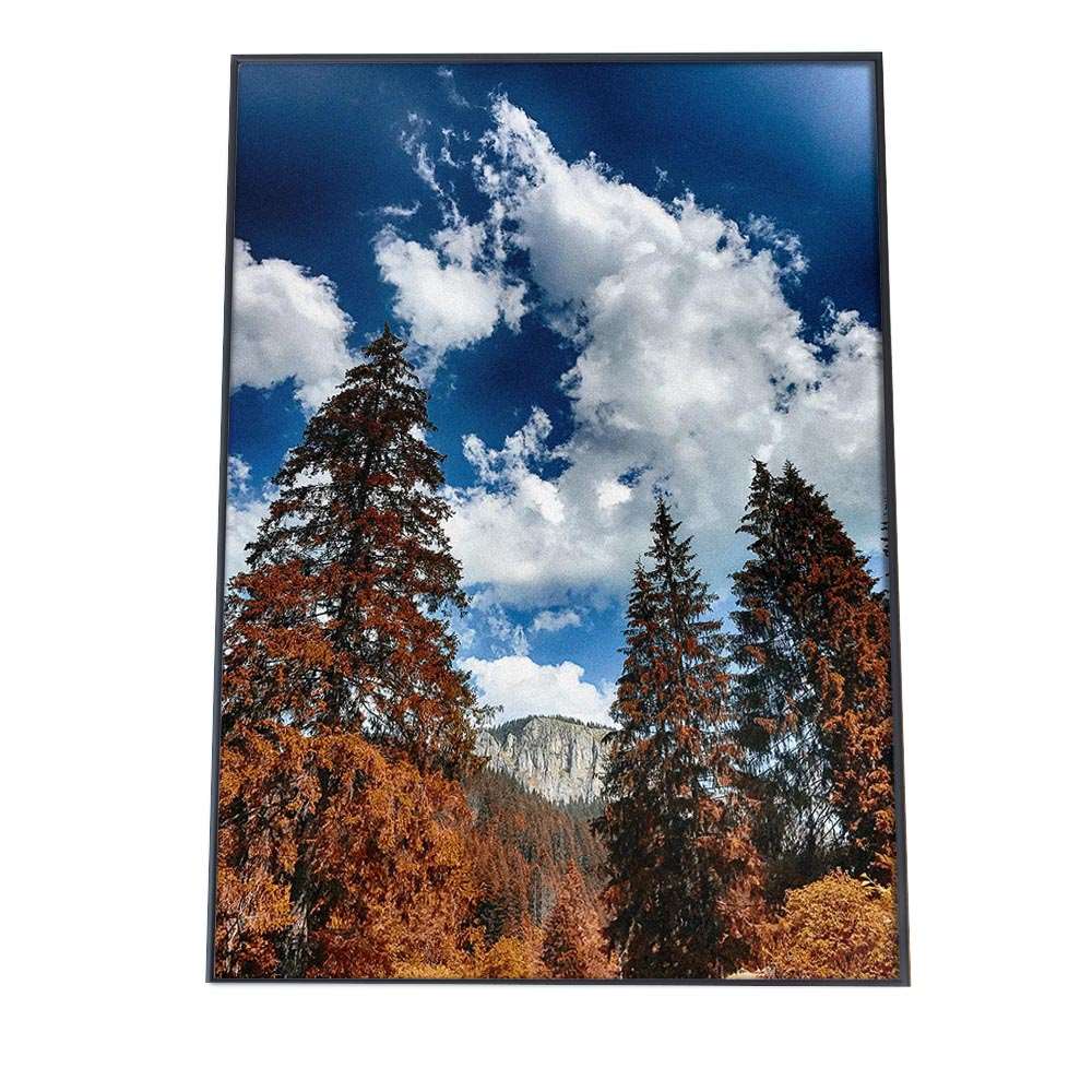 アートパネル 絵 絵画 飾り 選べるサイズ 210×148 mm A5 モダン 玄関 写真 フォト インテリア おしゃれ 005908 和風　和柄　花　フラワー
