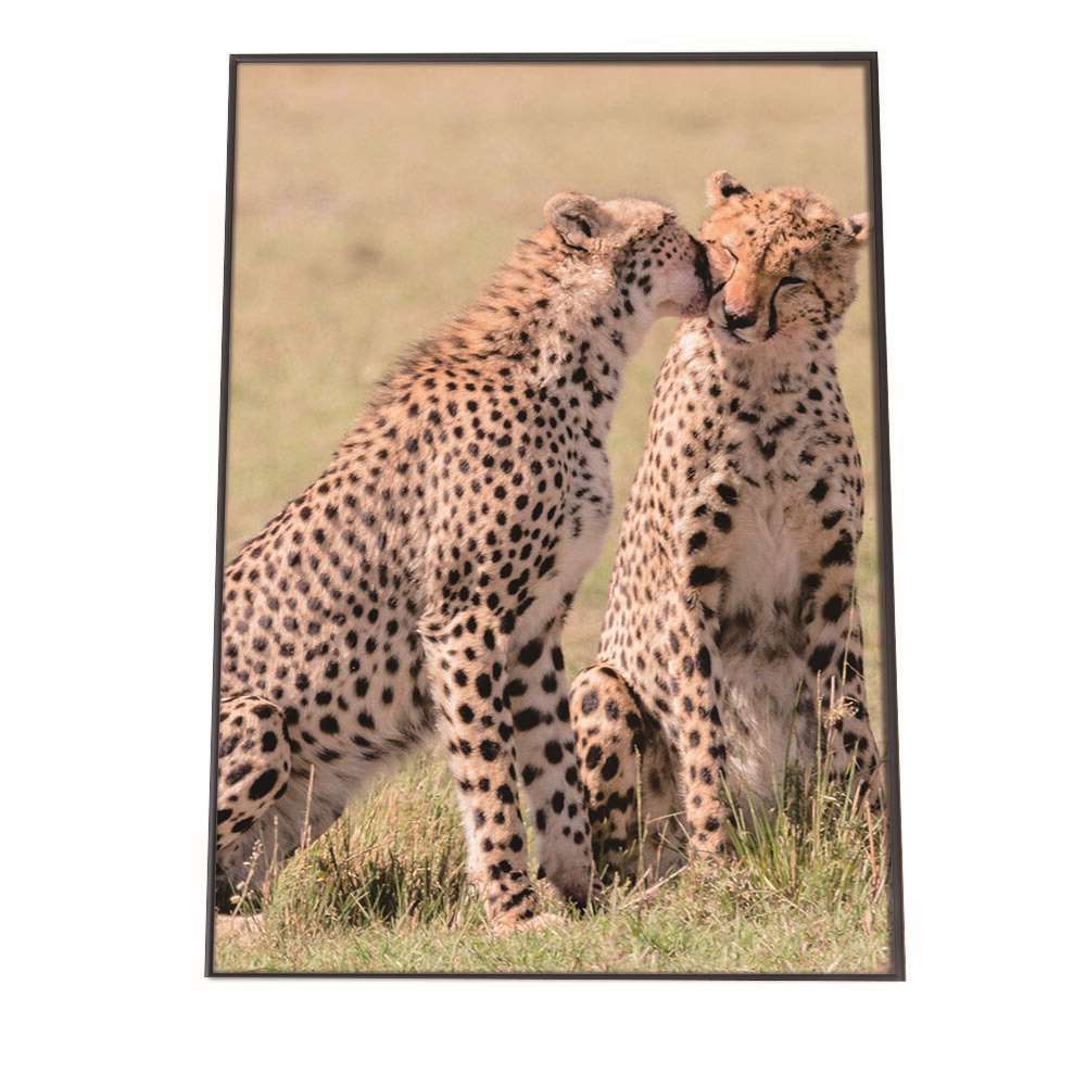 ポスター 【選べる全サイズ＆用紙】 アートプリント ポスター インテリア おしゃれ ネコ科 キャット サバンナ 動物 アニマル 自然 子供 大きい 小さい【an-poster-1360】