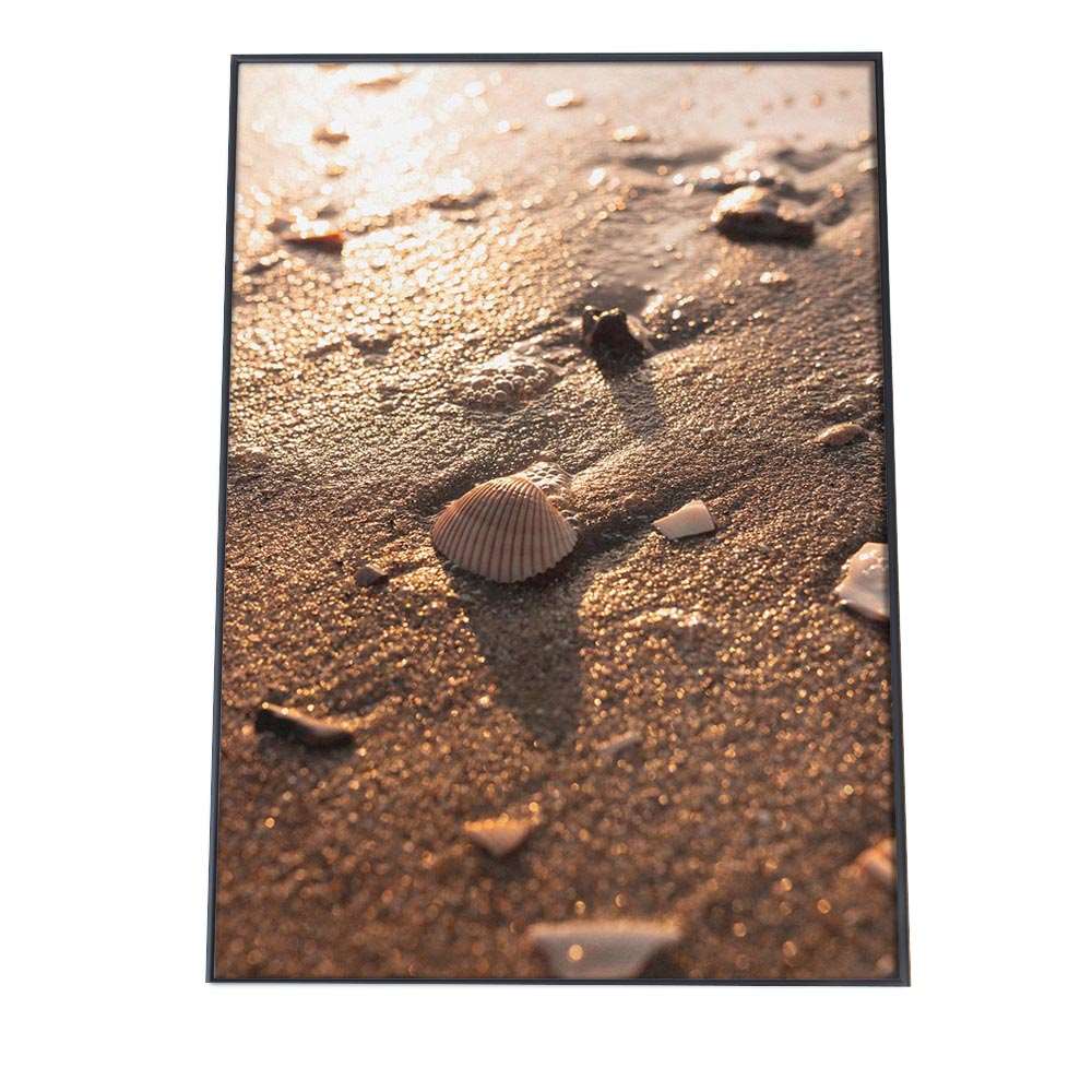 貝 シェル アサリ 貝殻 ポスター 海の生き物 オーシャン 【用紙×サイズ×デザイン】 アートプリント ポ..