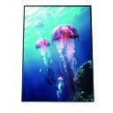 クラゲ ポスター シーサイド マリンスタイル ジェリーフィッシュ 水族館 水中 海 魚 インテリア
