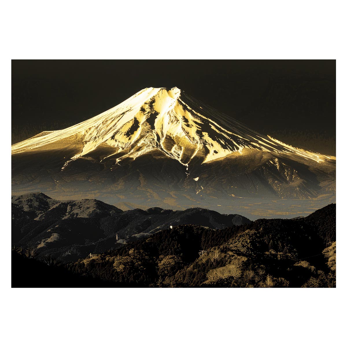 和風　金の富士 金運 ゴールド 山 富士山 ふじさん 横ポスター ご利益 運気 グッズ アイテム 開 ...