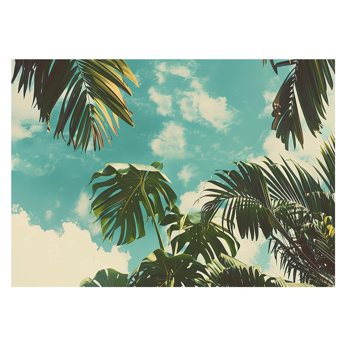 モンステラポスター 用紙とサイズが選べる トロピカル 熱帯植物 ハワイアン ボルシギアナ デリシオーサ アダンソニー 葉っぱ グリーン 観葉植物 自然 緑 ジャングル 植物 南国 インテリア おし…