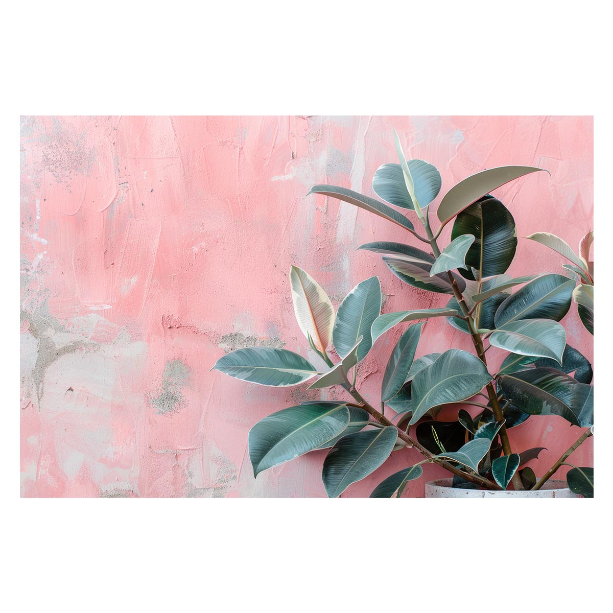 ゴムの木 フィカス 植物 グリーン 葉っぱ 観葉 ポスター ボタニカル 草 自然 用紙とサイズが選べる イ..