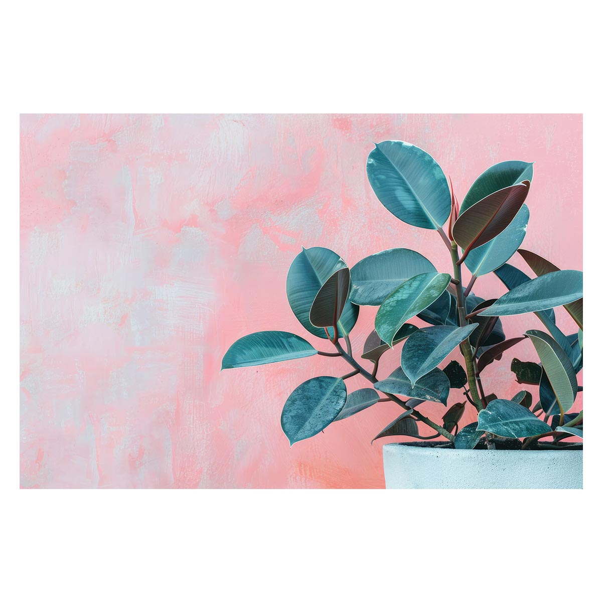 ゴムの木 フィカス 植物 グリーン 葉っぱ 観葉 ポスター ボタニカル 草 自然 用紙とサイズが選べる イ..