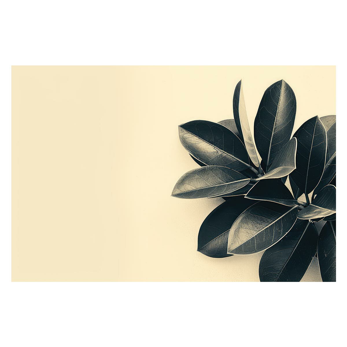 ゴムの木 フィカス 植物 グリーン 葉っぱ 観葉 ポスター ボタニカル 草 自然 用紙とサイズが選べる イ..