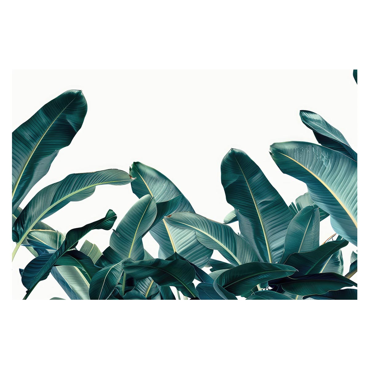 Rakuten - 植物 グリーン 葉っぱ 観葉 ポスター ボタニカル 草 自然 用紙とサイズが選べる インテリア おしゃれ プリントポスター フォト オシャレ アート モダン シンプル お洒落 特大 大きい【lh-poster-4683】