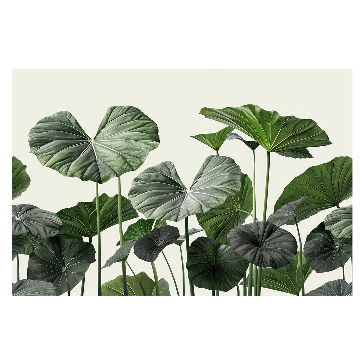 Rakuten - 植物 グリーン 葉っぱ 観葉 ポスター ボタニカル 草 自然 用紙とサイズが選べる インテリア おしゃれ プリントポスター フォト オシャレ アート モダン シンプル お洒落 特大 大きい【lh-poster-4699】