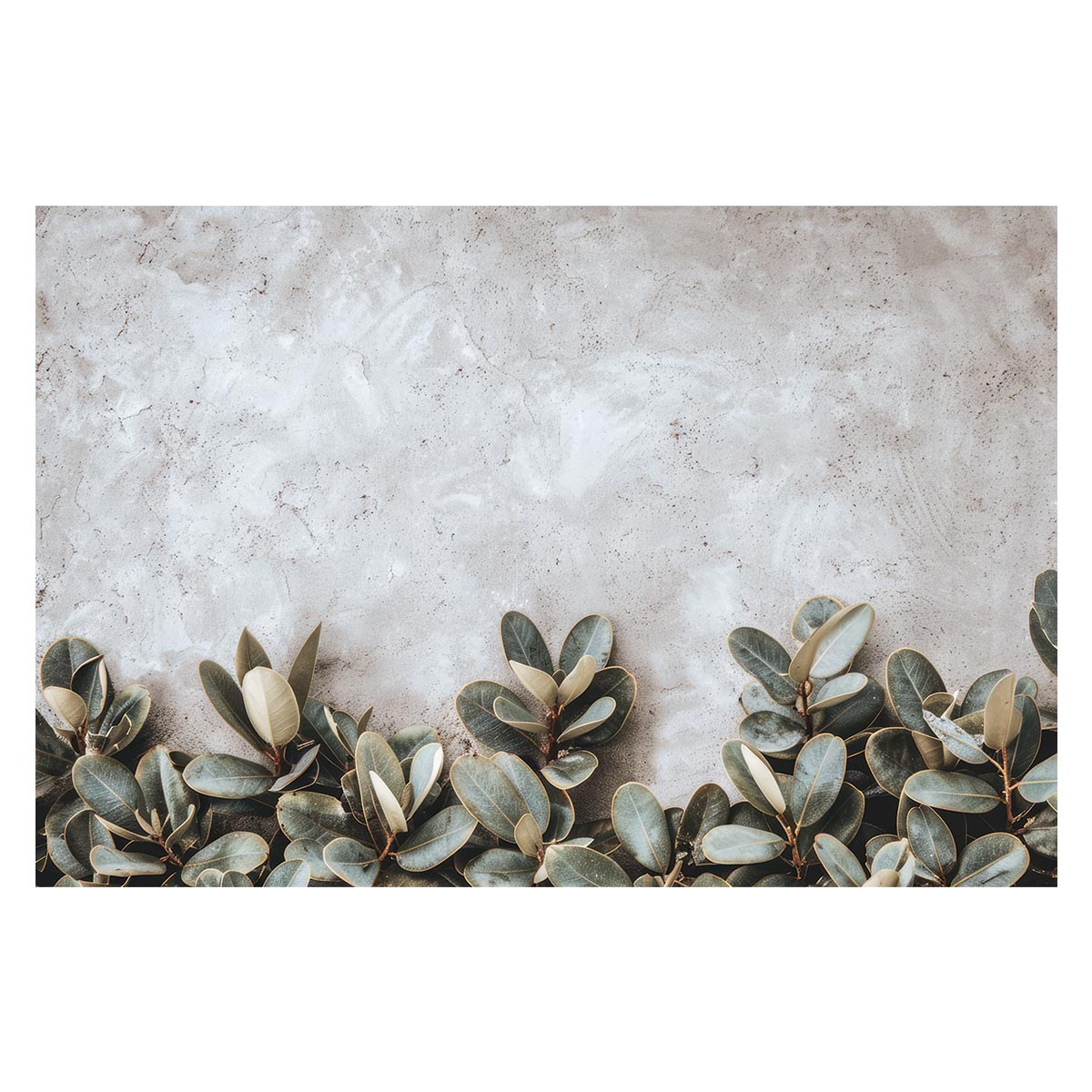 植物 グリーン 葉っぱ 観葉 ポスター ボタニカル 草 自然 用紙とサイズが選べる インテリア おしゃれ プリントポスター フォト オシャレ アート モダン シンプル お洒落 特大 大きい【lh-poster-4774】