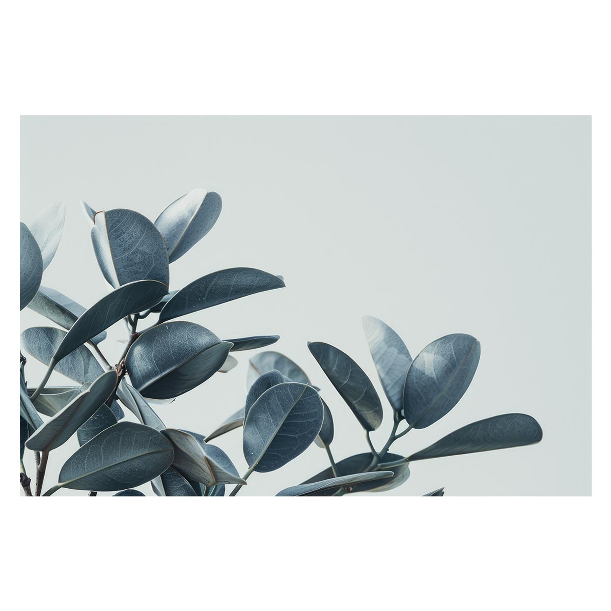 Rakuten - 植物 グリーン 葉っぱ 観葉 ポスター ボタニカル 草 自然 用紙とサイズが選べる インテリア おしゃれ プリントポスター フォト オシャレ アート モダン シンプル お洒落 特大 大きい【lh-poster-4781】