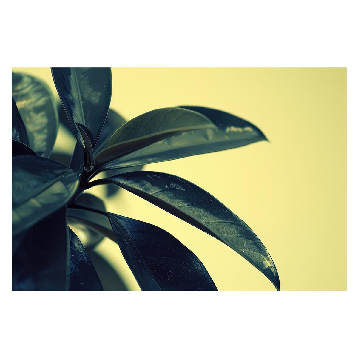 植物 グリーン 葉っぱ 観葉 ポスター ボタニカル 草 自然 用紙とサイズが選べる インテリア おしゃれ プリントポスター フォト オシャレ アート モダン シンプル お洒落 特大 大きい【lh-poster-4821】