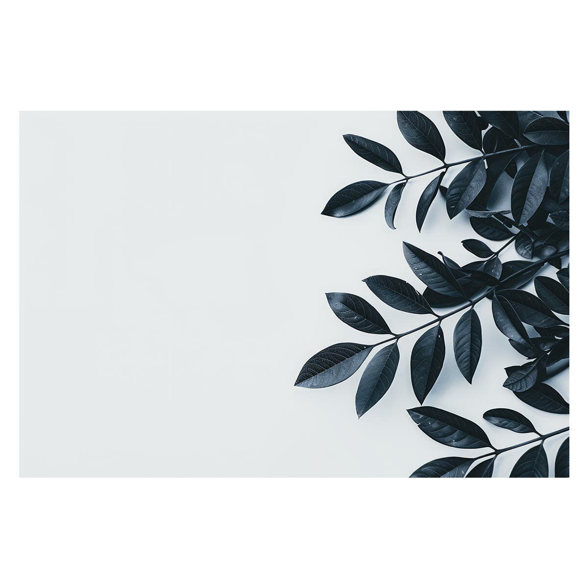 Rakuten - 植物 グリーン 葉っぱ 観葉 ポスター ボタニカル 草 自然 用紙とサイズが選べる インテリア おしゃれ プリントポスター フォト オシャレ アート モダン シンプル お洒落 特大 大きい【lh-poster-4823】