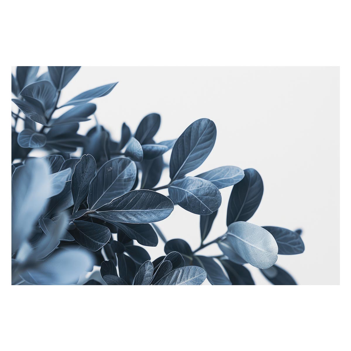 植物 グリーン 葉っぱ 観葉 ポスター ボタニカル 草 自然 用紙とサイズが選べる インテリア おしゃれ プリントポスター フォト オシャレ アート モダン シンプル お洒落 特大 大きい【lh-poster-4985】