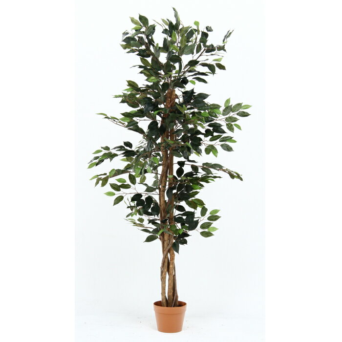 【本日p5倍!!】 観葉植物 フェイクグリーン フィカス 人工観葉植物