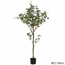 フェイクグリーン 観葉植物 150cm ジョイント式 おしゃれ ユーカリ