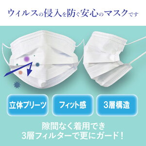 【母の日SALE♪ 398円→358円】クリーンエアマスク10枚入り×5（計50枚）　マスク 全国送料無料 花粉 ホコリ PM2.5 黄砂 風邪 インフルエンザ ウィルス 飛沫防止 不織布 プリーツ 10枚包装 白