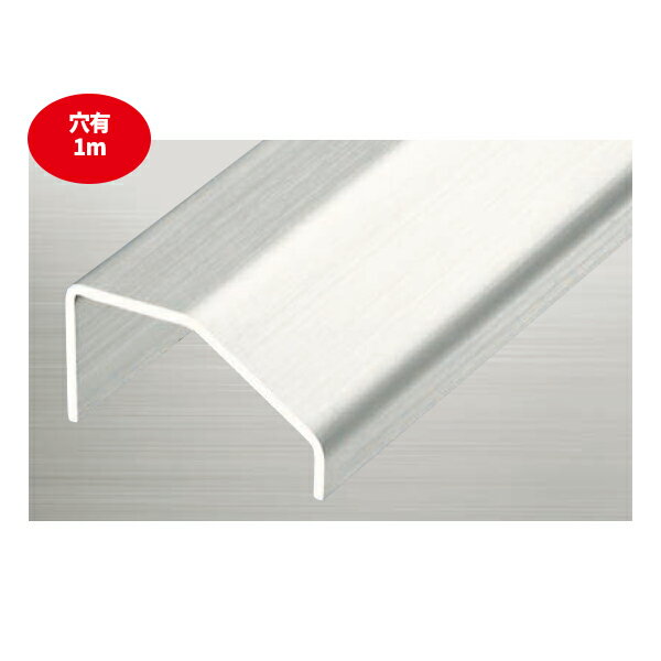 アシスト 床金物 チャンネル見切り ステンレス製 20-361-2 穴有 1m