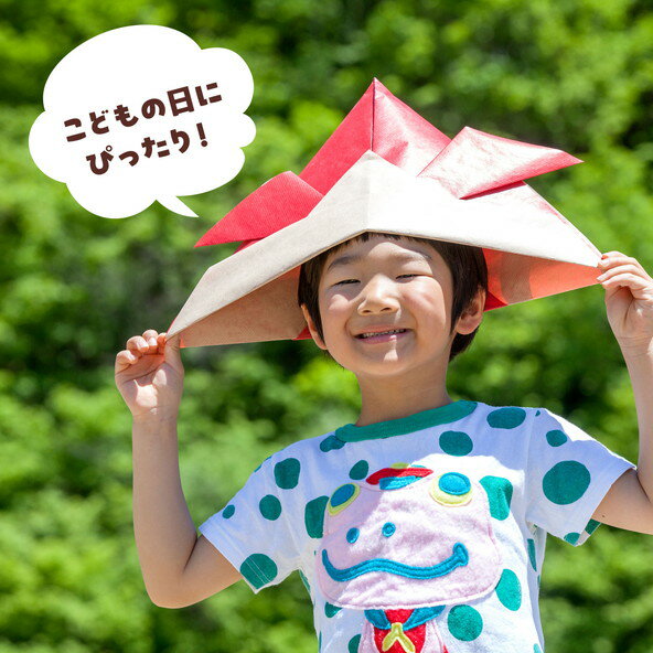 アーテック こいのぼり（布製組立済）ピンク 15