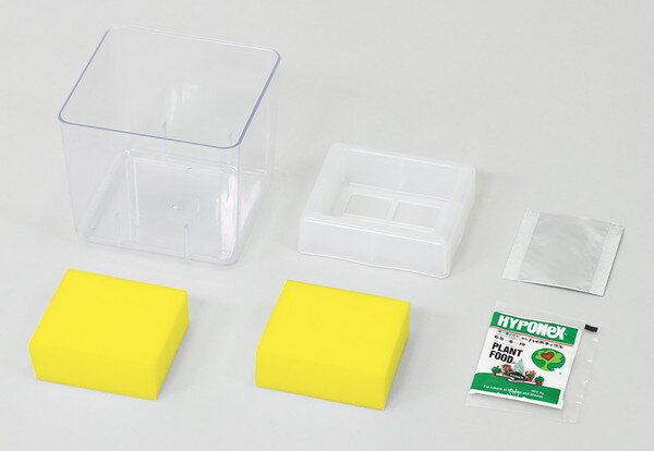 �����ƥå� ��̺��ݥ�˥å� �֥��å��꡼���ץ饦�� 102969