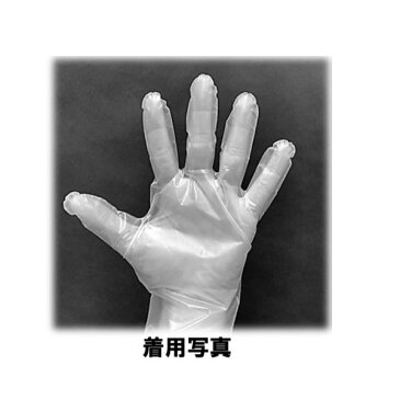 フィット TPE 手袋 パウダーフリー Lサイズ 100枚入