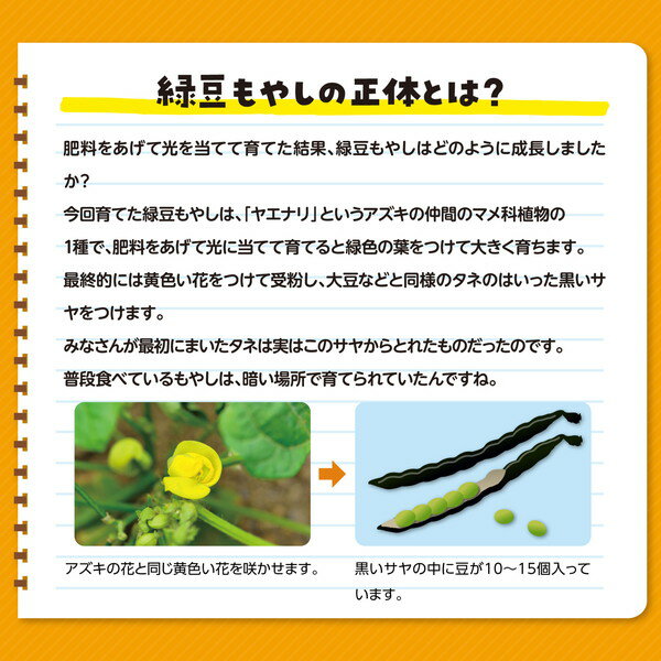 �����ƥå� ��̺��ݤ���Ʀ��䤷���Ƥ褦 102917