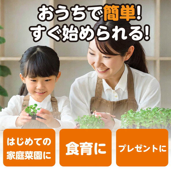 アーテック お家で楽しく栽培キット ラディッシュ 102930