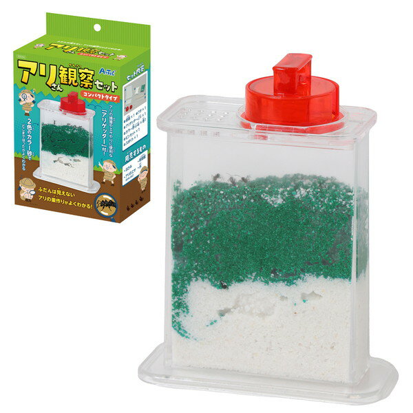 ƥå ꤵѻå ѥȥ 58265