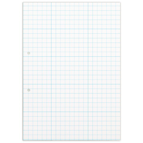 アーテック 正方眼10mm/正方眼5mm 8切ペーパー4穴 100枚 3456