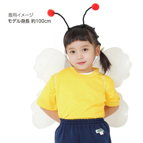 �����ƥå� �ݥ�ݥ󥫥��塼���� �� 18776