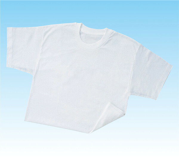 イーヅカのアーテック Tシャツ 白 C 38000｜アングル2