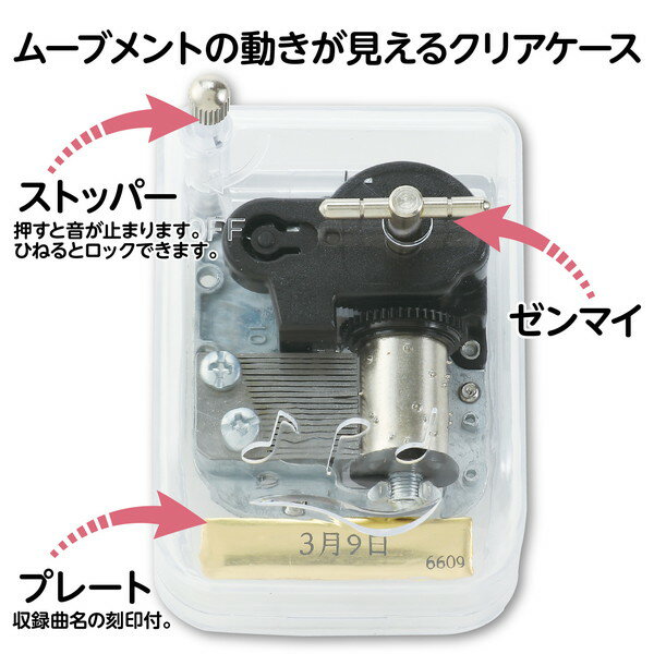 �����ƥå� ���르���� ���ꥹ����ϡ���ˡ� 3��9�� 6609