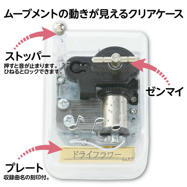 �����ƥå� ���르���� ���ꥹ����ϡ���ˡ� �ɥ饤�ե� 6657