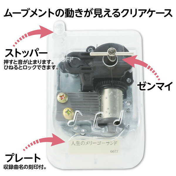 �����ƥå� ���르���� ���ꥹ����ϡ���ˡ� �����Υ�꡼�������� 6677