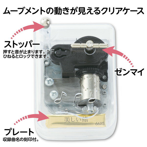 �����ƥå� ���르���� ���ꥹ����ϡ���ˡ� �������� 6685