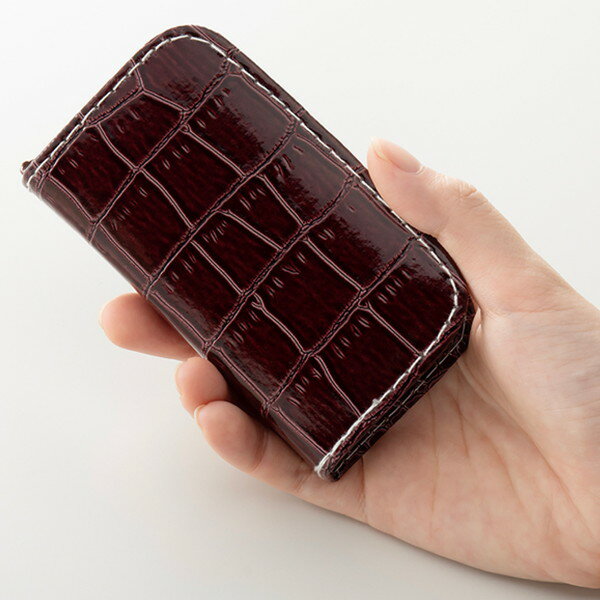 �ˡ��� DX�ͥ��륱�����å� 6P 118911