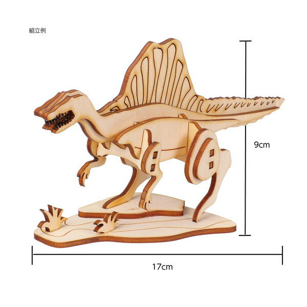 �����ƥå� ����3D�ѥ��� ���ԥΥ����륹 58718